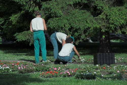 Gardening team assessing a small front garden